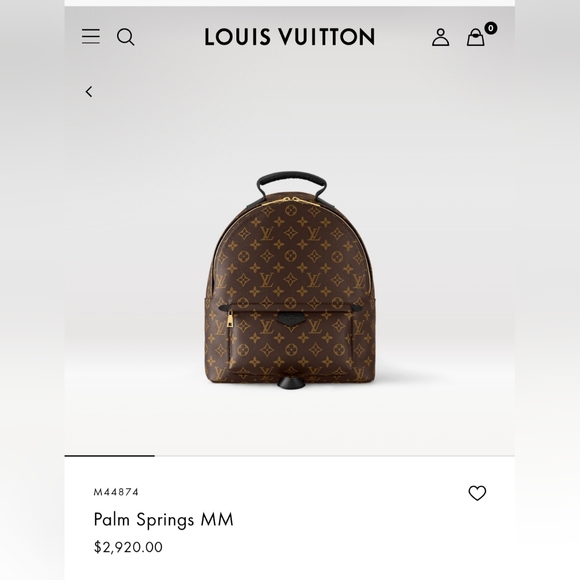 Louis Vuitton Palm Springs MM Brown Backpack - Picture 1 of 4